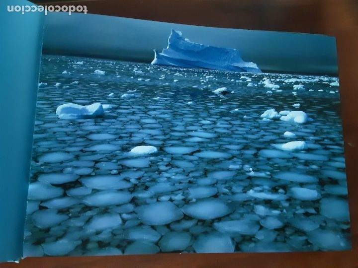 Libros de segunda mano: Ant&aacute;rtida - Sebastian Copeland - Foto 8