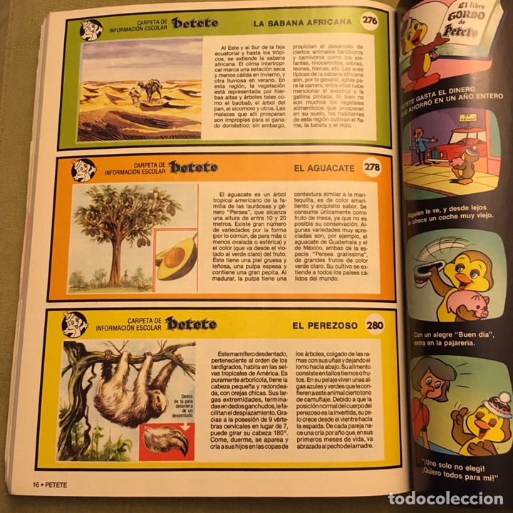 Libros de segunda mano: Petete, Aprende Jugando (el libro gordo de Petete) 1981 - Foto 3