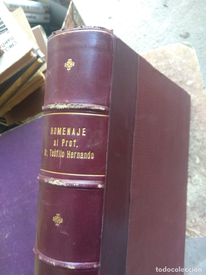 Libros de segunda mano: HOMENAJE OFRECIDO AL PROFESOR DR. TE&Oacute;FILO HERNANDO - Foto 2