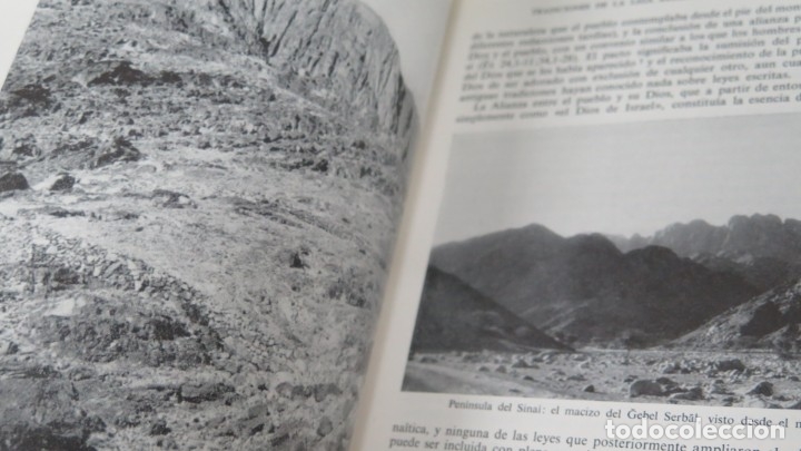 Libros de segunda mano: HISTORIA DE ISRAEL. MARTIN NOTH - Foto 5