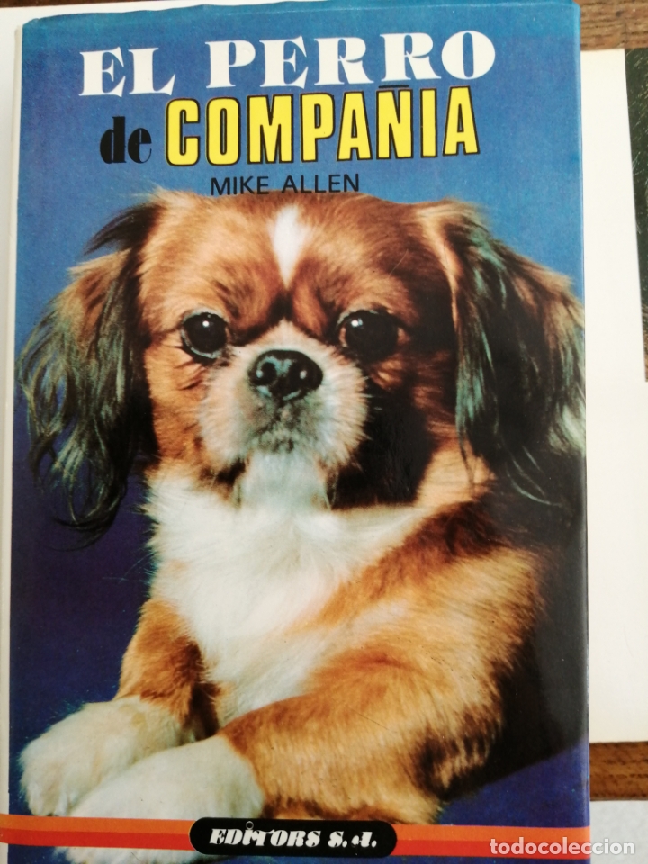 Libros de segunda mano: El perro de compa&ntilde;&iacute;a. Mike Allen, - Foto 1