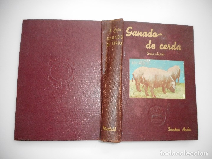 Libros de segunda mano: SANTOS AR&Aacute;N     Ganado de cerda     Y96704 - Foto 1