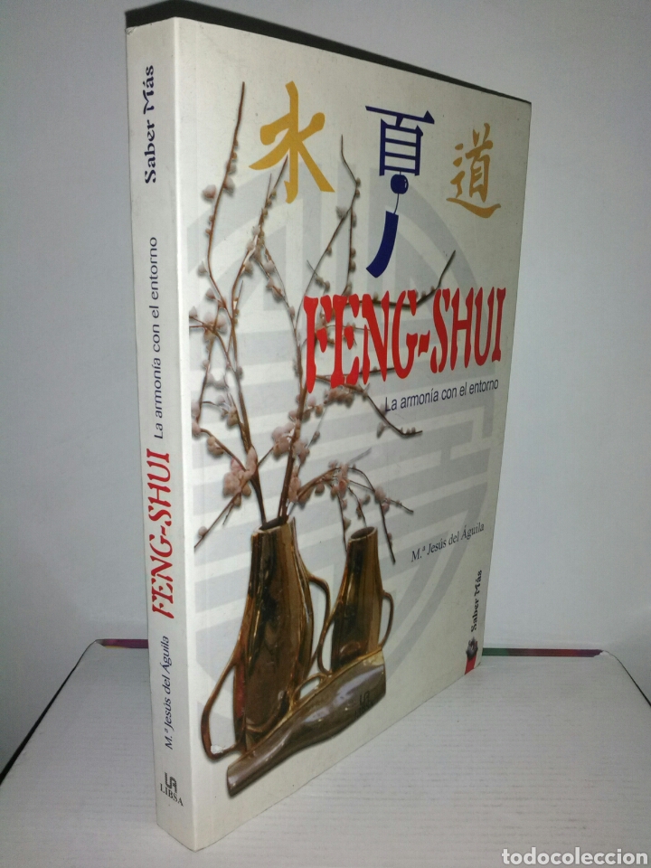 Libros de segunda mano: LIBRO FENG SHUI.LIBRO - Foto 1