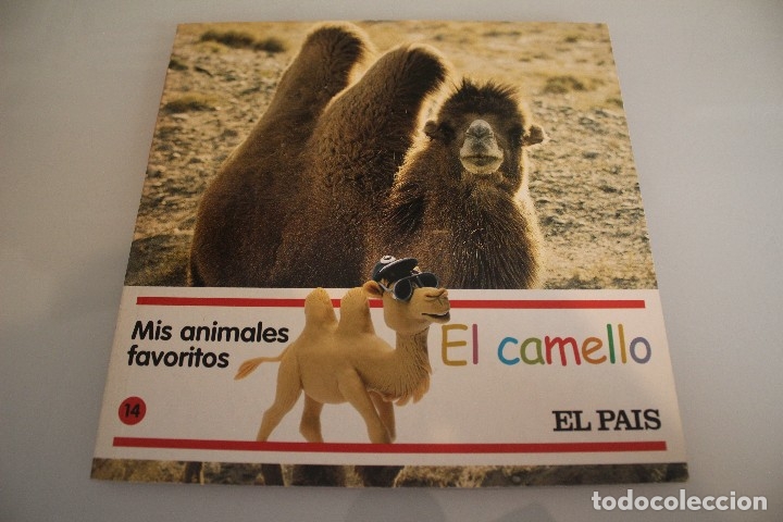 Libros de segunda mano: MIS ANIMALES FAVORITOS  EL CAMELLO - Foto 1