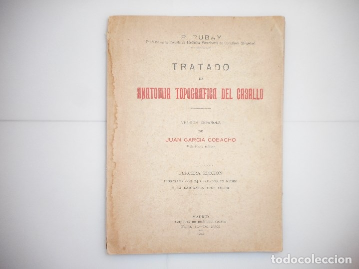 Libros de segunda mano: P. RUBAY   Tratado de Anatom&iacute;a topogr&aacute;fica del caballo    Y96754 - Foto 1