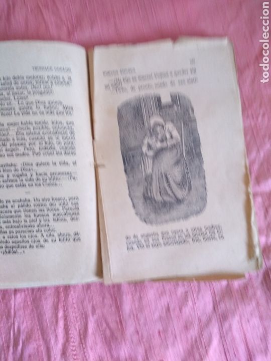 Libros de segunda mano: Nuevos Amores.Trndade Coelho. Novela - Foto 2