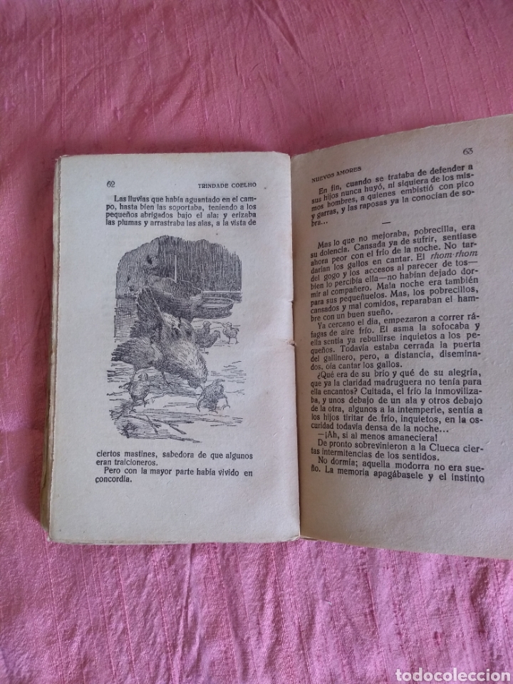 Libros de segunda mano: Nuevos Amores.Trndade Coelho. Novela - Foto 4
