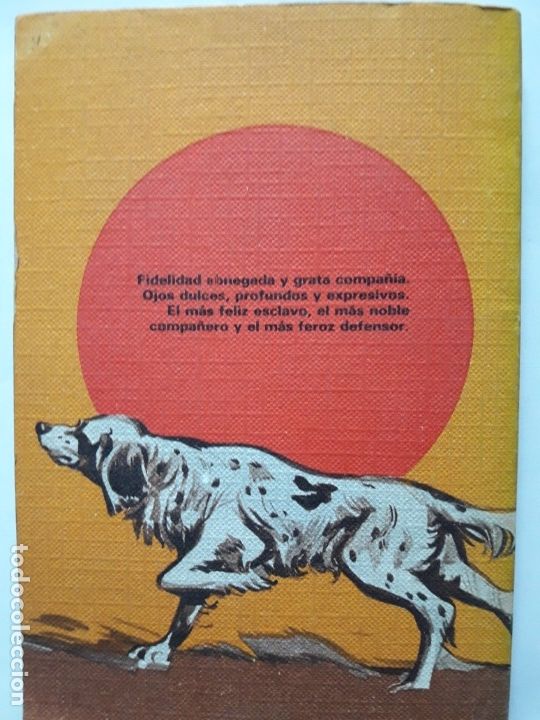 Libros de segunda mano: TODO SOBRE PERROS. Rodegar 1971 - Foto 2