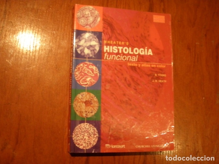 Libros de segunda mano: LIBRO HISTOLOGIA FUNCIONAL TEXTO Y ATLAS EN COLOR HARCOURT - Foto 2