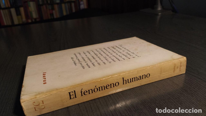 Libros de segunda mano: El fen&oacute;meno humano . Pierre Teilhard de Chardin. Taurus. - Foto 2