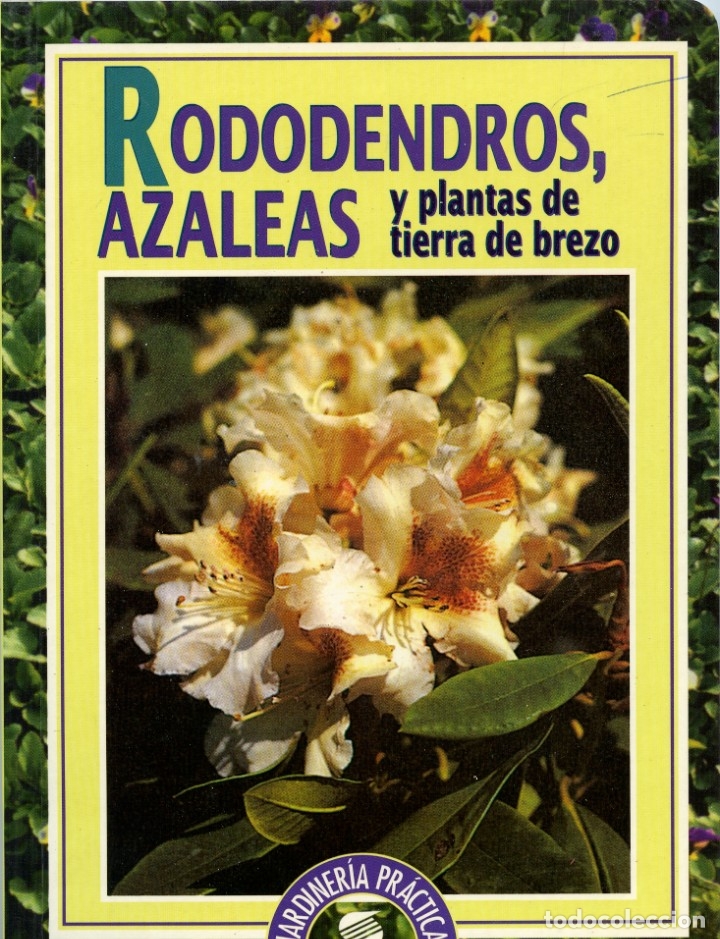 Libros de segunda mano: RODODENDROS, AZALEAS Y plantas de tierra de brezo. Jardiner&iacute;a Pr&aacute;ctica. Susaeta Ediciones S.A. Pp 68