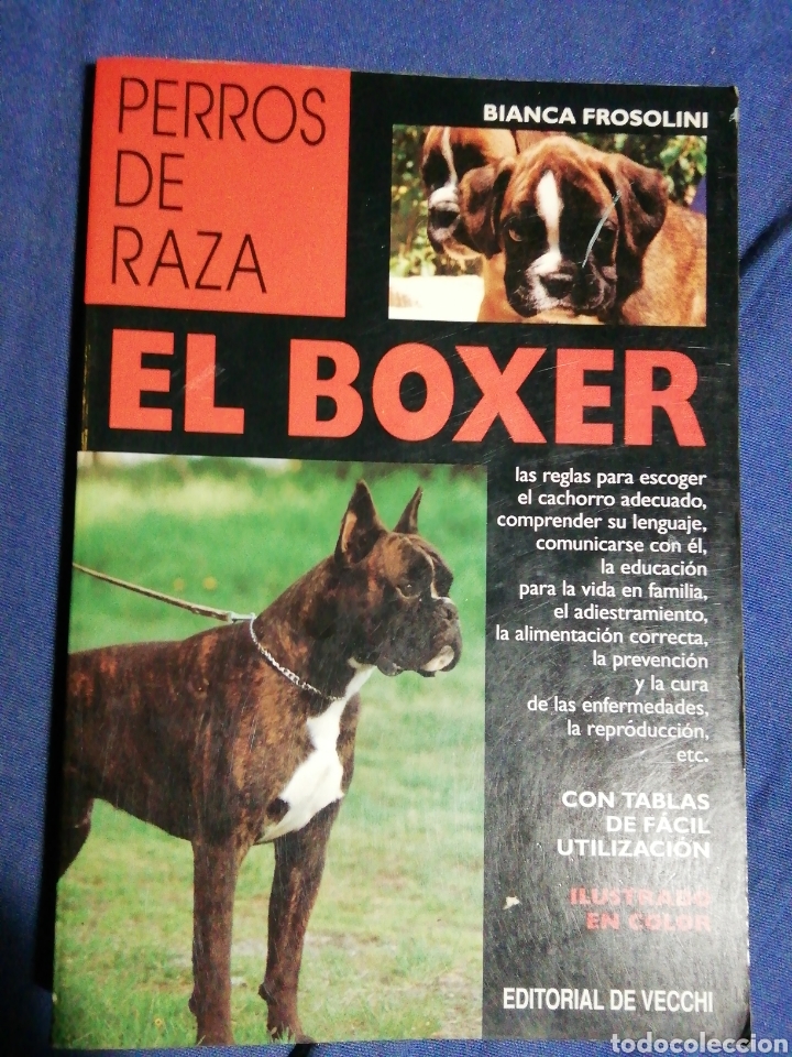 Libros de segunda mano: EL BOXER. BIANCA FROSOLINI. - Foto 1