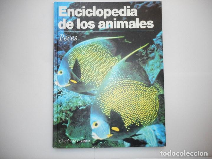Libros de segunda mano: VV.AA      Enciclopedia de los animales. Peces       Y97095 - Foto 1