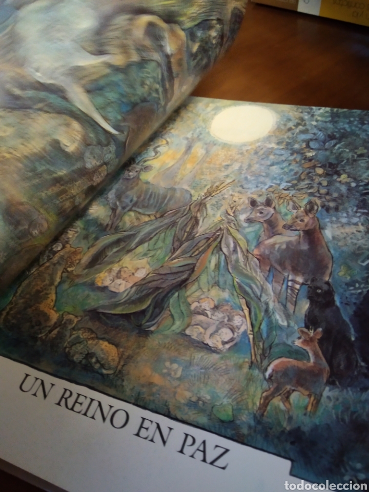 Libros de segunda mano: EL GRAN LIBRO DE LA PAZ. VVAA - EDEB&Eacute; #3296 - Foto 4