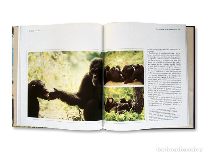 Libros de segunda mano: OR&Iacute;GENES DEL HOMBRE - EL ESLAB&Oacute;N PERDIDO ( TIME-LIFE ) - Foto 3