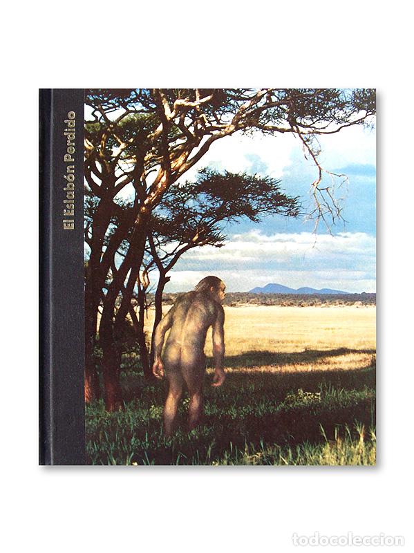 Libros de segunda mano: OR&Iacute;GENES DEL HOMBRE - EL ESLAB&Oacute;N PERDIDO ( TIME-LIFE ) - Foto 1