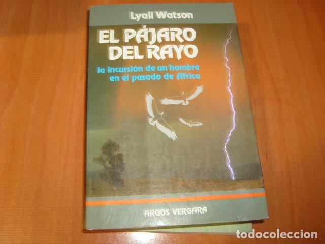 Libros de segunda mano: EL PAJARO DEL RAYO , LYALL WATSON - Foto 1