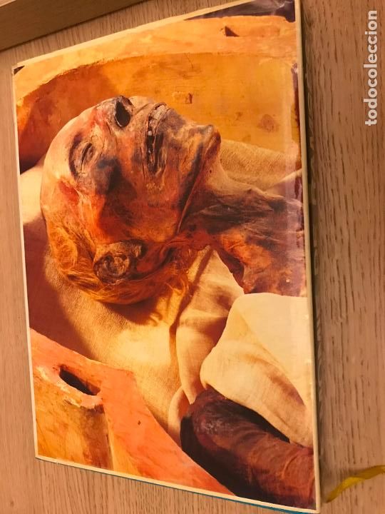 Libros de segunda mano: La momie de Ramses II - 1957 - Foto 13