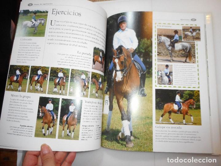 Libros de segunda mano: SANDY RANSFORD     Caballos y ponis     Y97228 - Foto 2