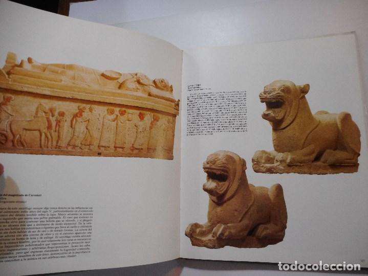Libros de segunda mano: MARIO RONCHETTI, ALEJANDRO MONTIEL     Museos del Vaticano    Y97278 - Foto 2
