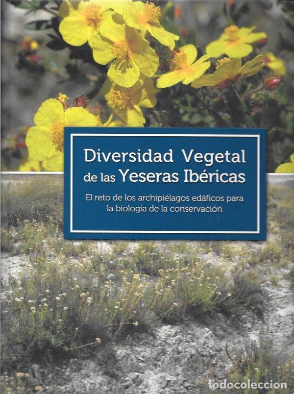 Libros de segunda mano: Diversidad vegetal de las Yeseras Ib&eacute;ricas. Flora. Bot&aacute;nica. Biolog&iacute;a de la Conservaci&oacute;n.