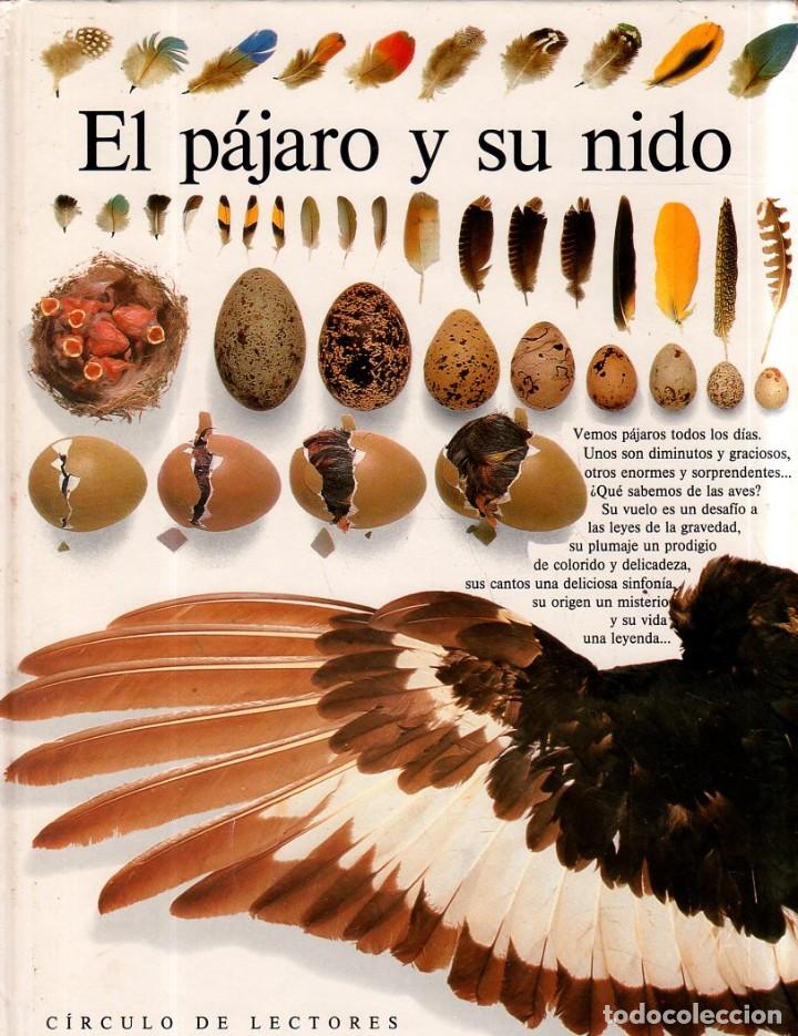 Libros de segunda mano: EL PAJARO Y SU NIDO. DAVID BURNIE. BIBLIOTECA VISUAL. CIRCULO DE LECTORES. 1992. - Foto 1