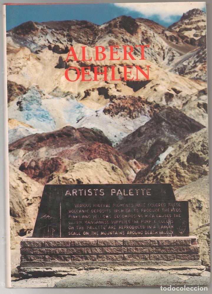 Libros de segunda mano: ALBERT OEHLEN , IVAM centre del Carme 1996, pintor ... - Foto 1
