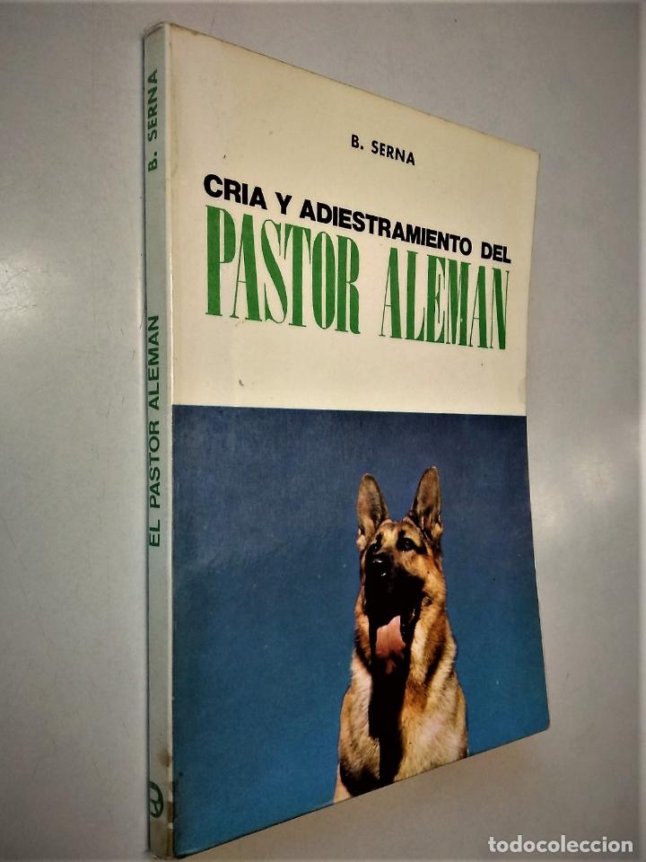 Libros de segunda mano: CRIA Y ADIESTRAMIENTO DEL PASTOR ALEM&Aacute;N | B. SERNA | EDICIONES DOBLE-R 1981 - Foto 1