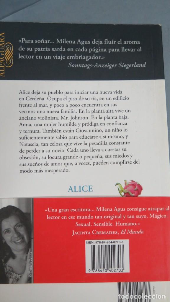Libros de segunda mano: ALICE. MILENA AGUS - Foto 3