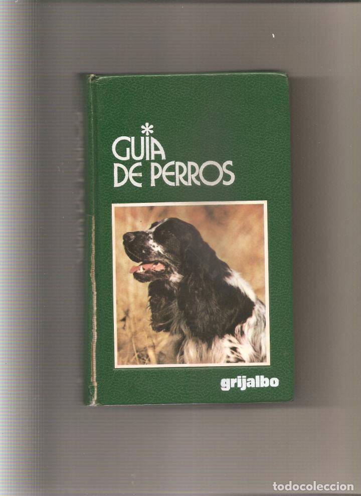 Libros de segunda mano: 215. GINO PUGNETTI. GUIA DE PERROS - Foto 1