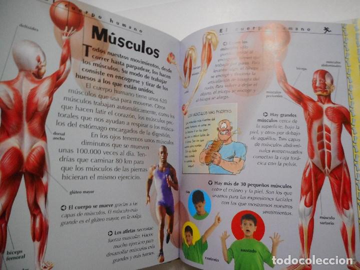 Libros de segunda mano: Mi primera gran enciclopedia      Y97461 - Foto 2