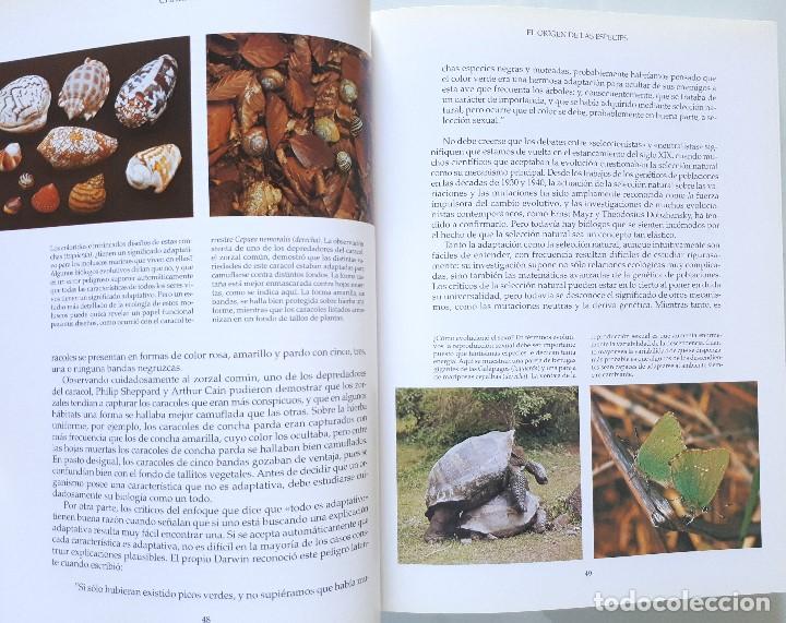 Libros de segunda mano: CHARLES DARWIN / EL ORIGEN DE LAS ESPECIES / RESE&Ntilde;A SERBAL 1994 - Foto 8