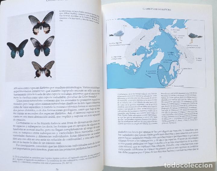 Libros de segunda mano: CHARLES DARWIN / EL ORIGEN DE LAS ESPECIES / RESE&Ntilde;A SERBAL 1994 - Foto 9