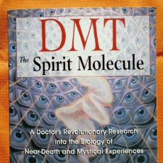Libros de segunda mano: DMT. THE SPIRIT MOLECULE. THE BIOLOGY OF NEAR-DEATH AND MYSTICAL EXPERIENCES -RICK STRASSMAN, M.D.-. Lote 188380630