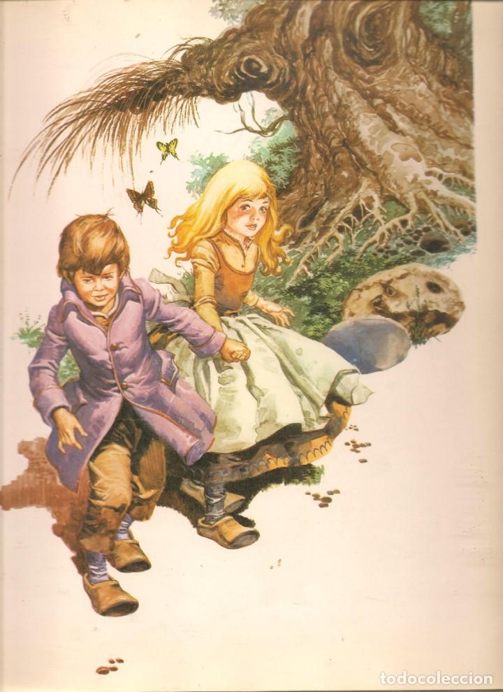 Libros de segunda mano: CUATRO CUENTOS DE GRIMM. EDITORIAL TIMUN MAS, 1972. (B/A19) - Foto 4