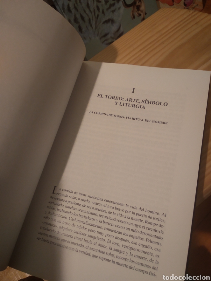 Libros de segunda mano: EL TORO SOLAR. URBANO ESTEBAN PELLON #3393 - Foto 3