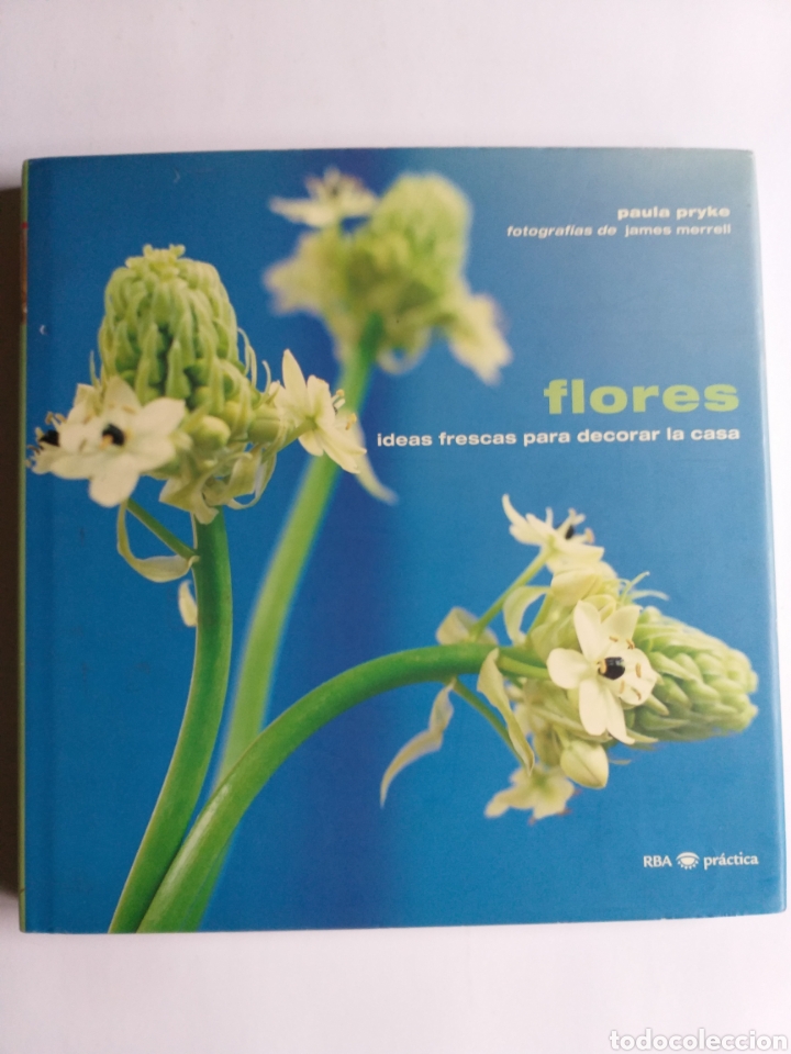 Libros de segunda mano: Flores ideas frescas para decorar la casa Paula Pryke . Artesan&iacute;a manualidades