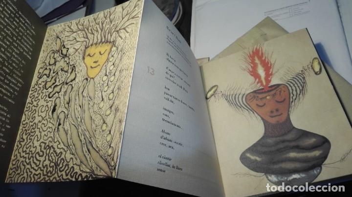 Libros de segunda mano: ZUSH / EVRU. UROXOS. Pol&iacute;grafa. 1999 - Foto 3