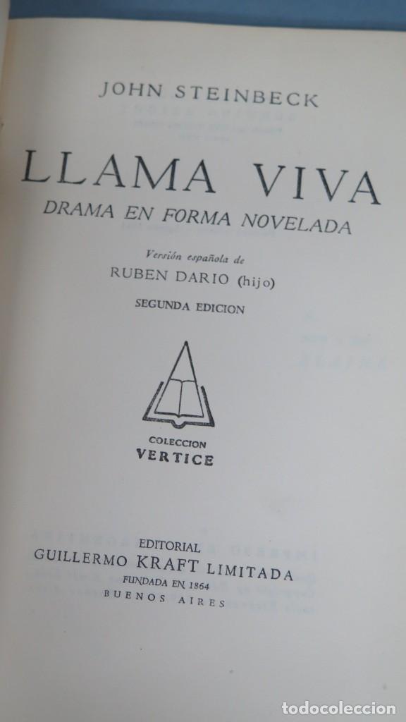 Libros de segunda mano: JOHN STEINBECK. LLAMA VIVA. 1951 - Foto 2