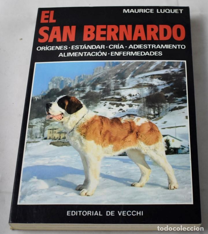 Libros de segunda mano: EL SAN BERNARDO. MAURICE LUQUET. - Foto 1