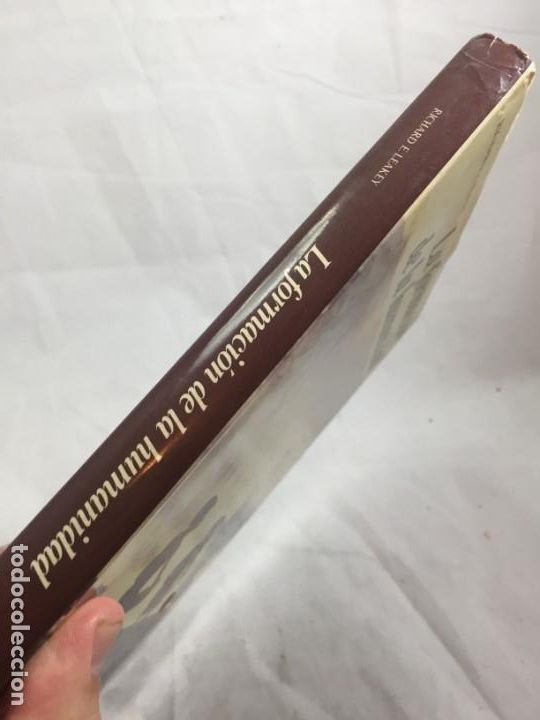Libros de segunda mano: La formaci&oacute;n de la humanidad Richard Leakey, 1981 Ediciones del Serbal - Foto 2