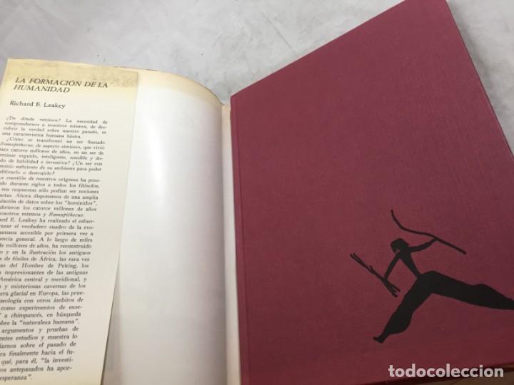 Libros de segunda mano: La formaci&oacute;n de la humanidad Richard Leakey, 1981 Ediciones del Serbal - Foto 3