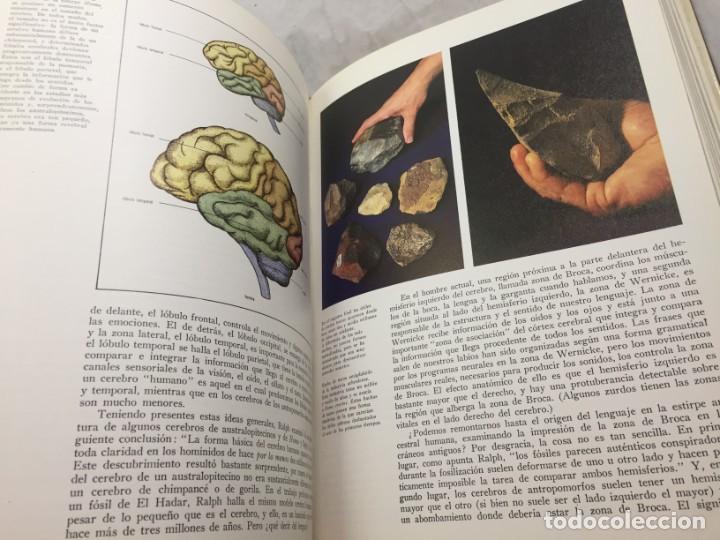 Libros de segunda mano: La formaci&oacute;n de la humanidad Richard Leakey, 1981 Ediciones del Serbal - Foto 7