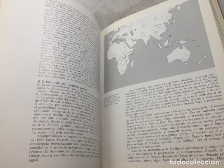 Libros de segunda mano: La formaci&oacute;n de la humanidad Richard Leakey, 1981 Ediciones del Serbal - Foto 8
