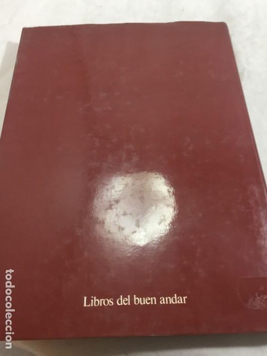 Libros de segunda mano: La formaci&oacute;n de la humanidad Richard Leakey, 1981 Ediciones del Serbal - Foto 11