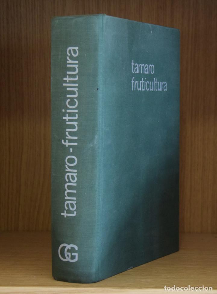 Libros de segunda mano: TRATADO DE FRUTICULTURA - D. TAMARO - Foto 1