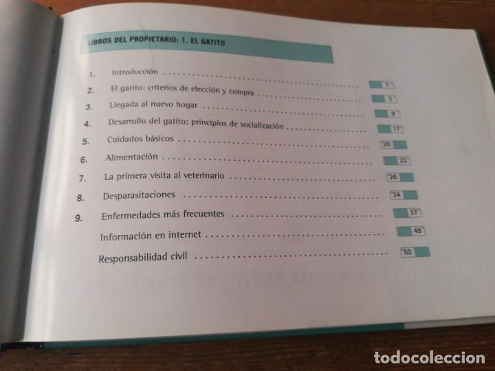 Libros de segunda mano: El gatito. Uno m&aacute;s en casa. - Foto 4