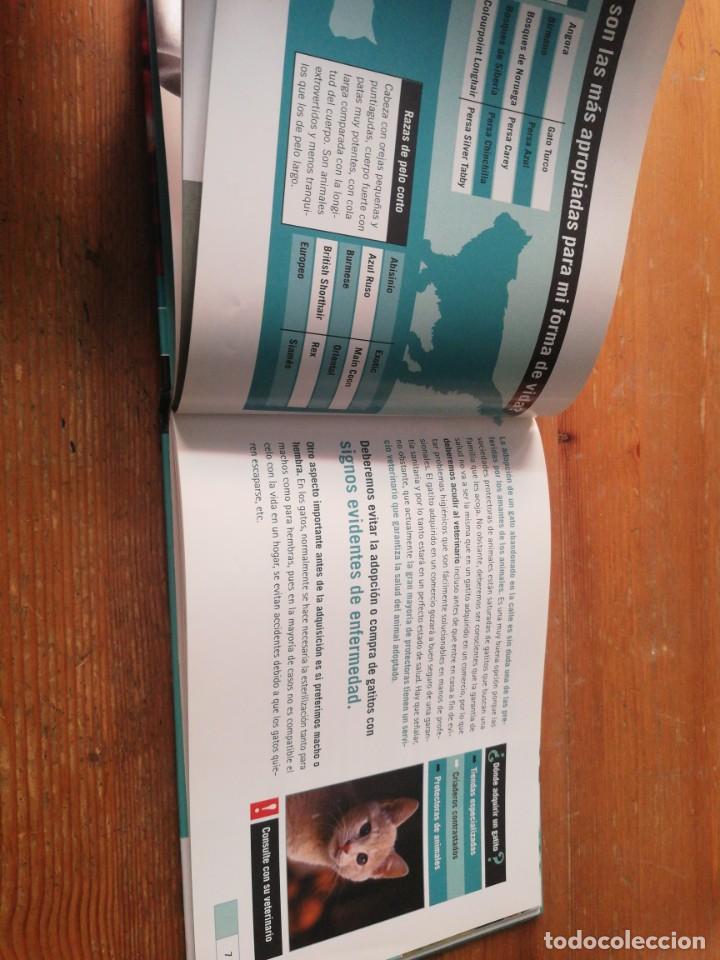 Libros de segunda mano: El gatito. Uno m&aacute;s en casa. - Foto 5