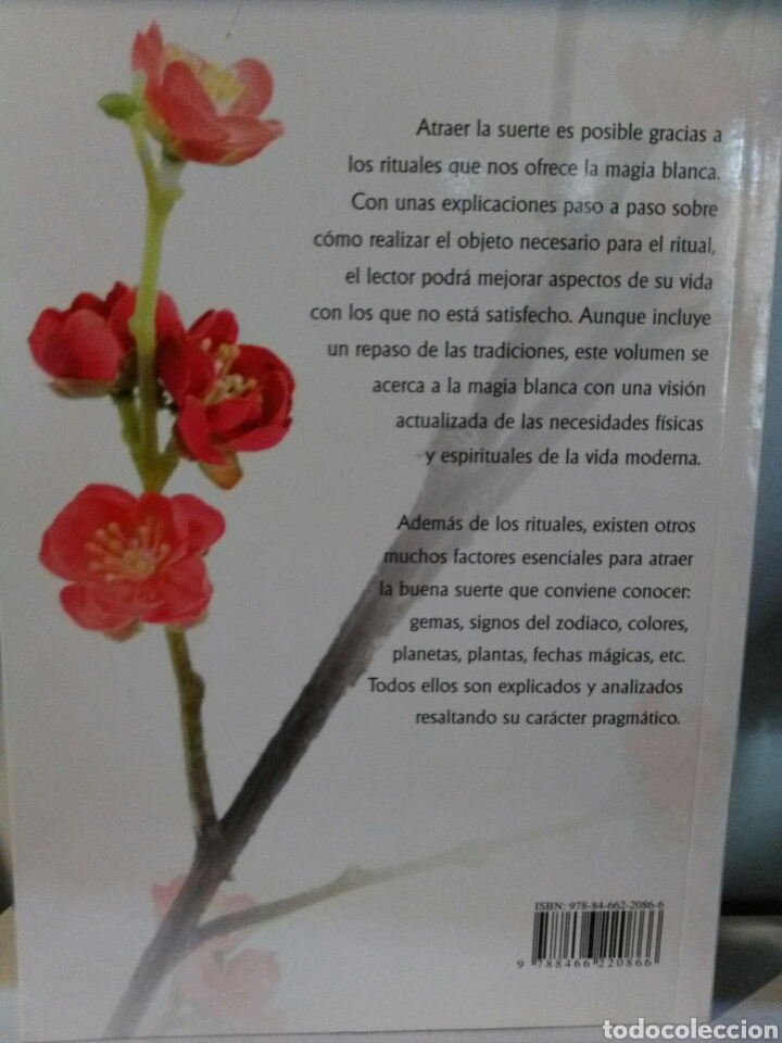 Libros de segunda mano: RITUALES DE LA BUENA SUERTE. JUAN ECHENIQUE. - Foto 3