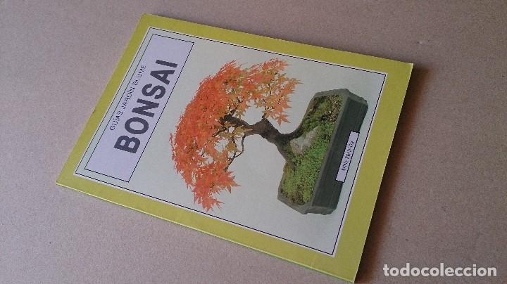 Libros de segunda mano: GUIA JARDIN BLUME BONDAI - Foto 1